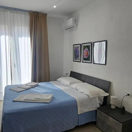 Pavife * アヴォラ