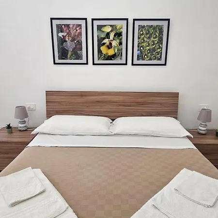 Pavife * アヴォラ